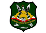 wojskowa ochrona przeciwpożarowa logo firmy